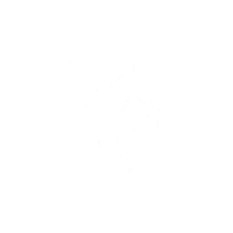 image icon representing the fearless ability