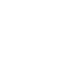 image icon representing the goal-line-back ability
