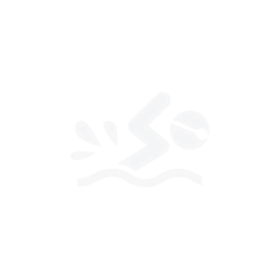 image icon representing the swim-club ability